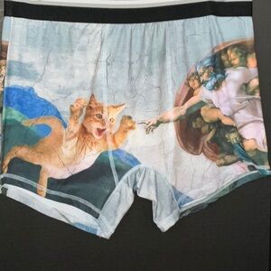 Top Drawer Box Brief 2XL: “Creation of Kitty”
